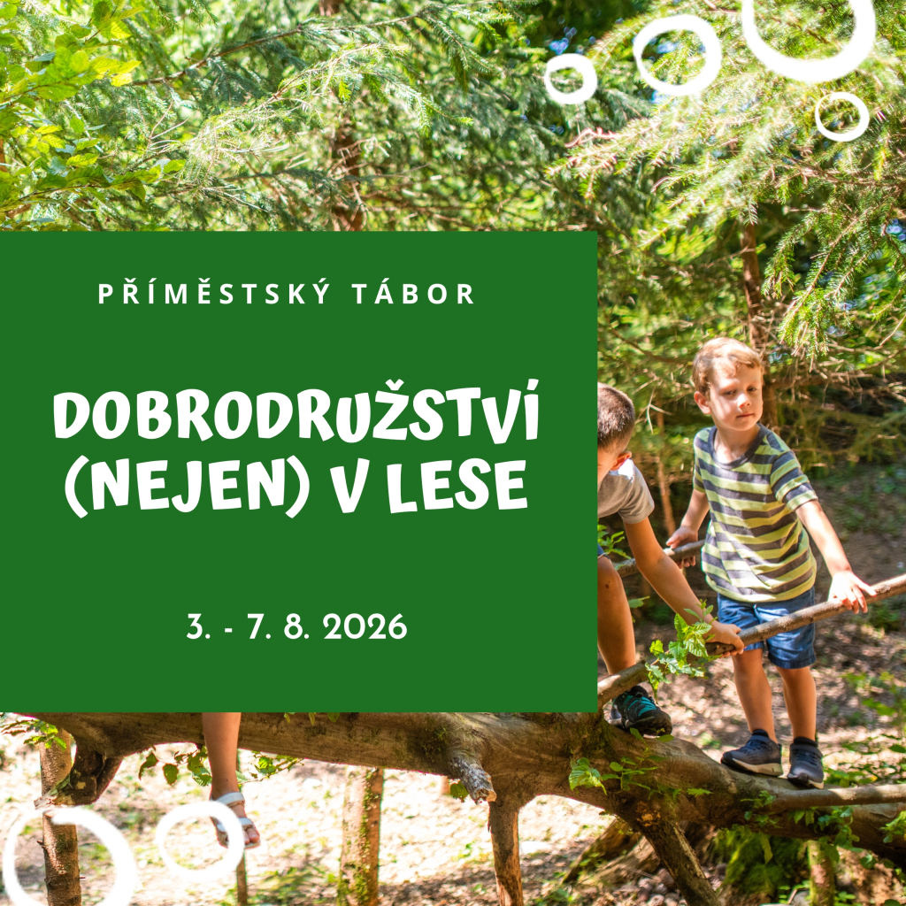 Dobrodružství (nejen) v lese