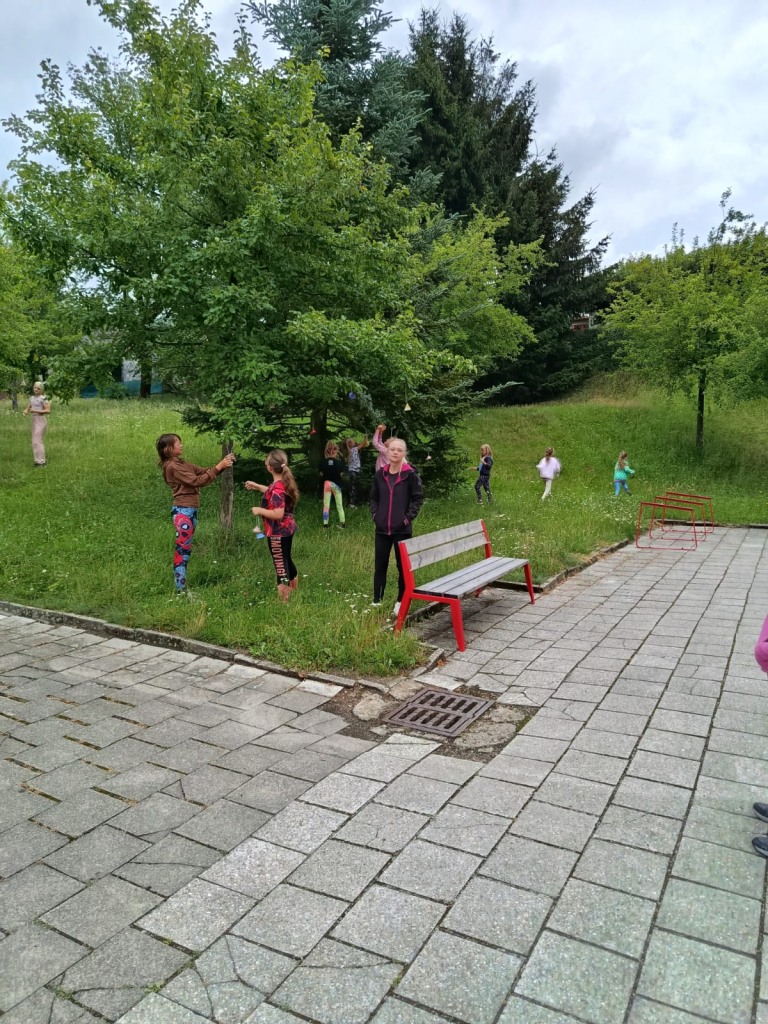 WhatsApp Image 2026-07-08 at 14.24.50 (1).jpeg