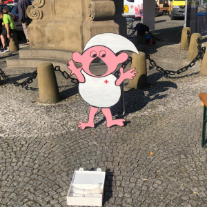 image11.jpeg