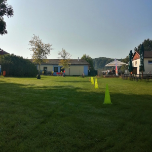 IMG_20210904_094200.jpg
