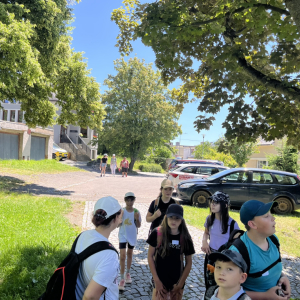 IMG_8603.JPEG
