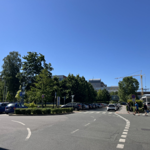 IMG_8678.JPEG