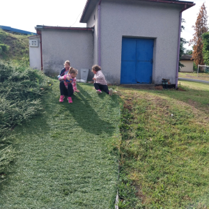 20250709_085651.jpg