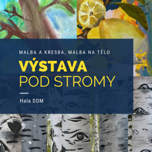 Výstava 