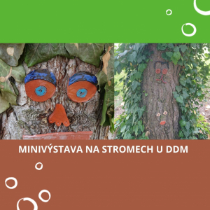 Minivýstava na stromech DDM